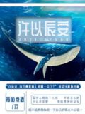 许以辰安