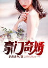 豪婿奇书
