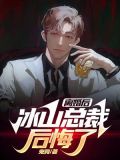 离婚后冰山总裁后悔了