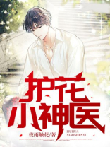 护花小神医电视剧免费观看