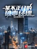 某不正经的破事经理笔趣阁全本