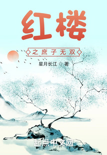 红楼之庶子无双第119章三年之后
