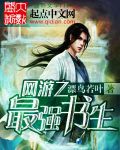 网游之轻狂书生小说
