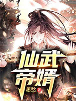 仙武帝婿小说