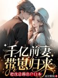 千亿大亨:前妻难娶
