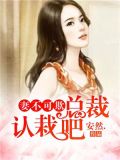 婚不可欺总裁来敲门