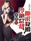 离婚后冷艳总裁跪求复婚百度百科