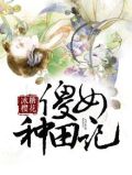 傻女种田记np吗