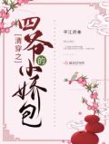 清穿之四爷的小娇包全文免费阅读