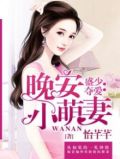 盛少夺爱:晚安小萌妻免费阅读