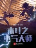 木叶之风暴之主小说免费阅读