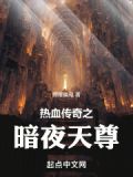 传奇暗夜之城在哪里