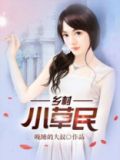 乡村小草民小说完结