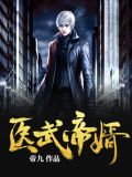 医武帝婿听书