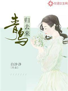 青鸟归去来,TXT下载