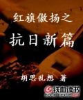 红旗傲扬之抗日新篇 第38章