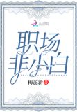 职场小白成长感悟