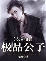 女神的极品公子公子