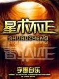 术不可不正