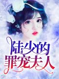 陆夫人罪不至