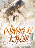 闪婚娇妻照样宠