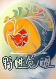 大觉醒小说