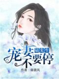 陆先生,要宠你免费阅读