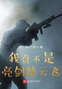 我真不是亮剑楚云飞TXT下载