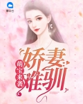萌宝来袭总裁娇妻很神秘 小说
