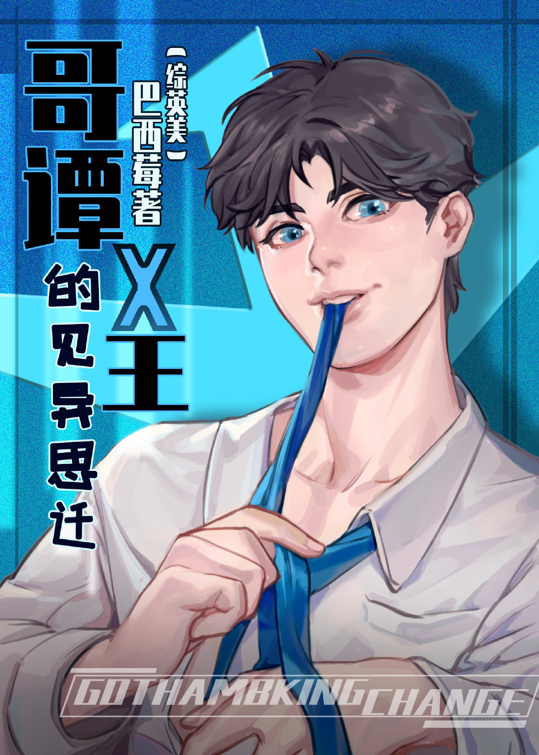 哥谭之王小说