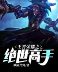 王者荣耀之绝世高手 小说
