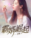 霸婿崛起 老施