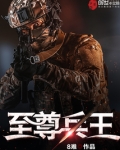 至尊兵王TXT下载