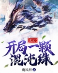 玄幻:开局一颗混沌珠免费阅读