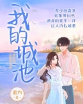 我的城池小说全文免费阅读完整版