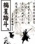 摘星斗的意思