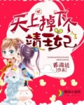 天上掉下个靖王妃听书