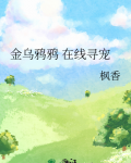 2020金乌鸦
