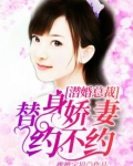 潜婚蜜爱总裁先生很温柔