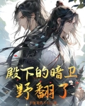 殿下的暗卫野翻了