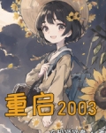 重启2003电视剧