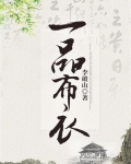 一品布衣小说免费阅读