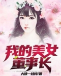 我的美女董事长
