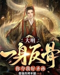 大明我一身反骨你夸我好圣孙 百度网盘下载
