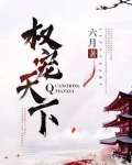 权宠天下新全集免费观看