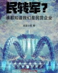 民转军?谁都知道我们是民营企业 笔趣阁