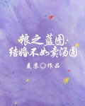 粮之蓝图：结婚不如卖汤圆
