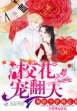 傲娇校花痞高手 小说